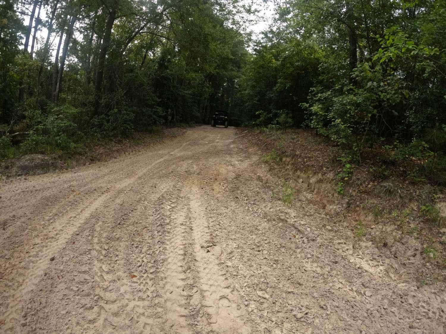 Oakley Road