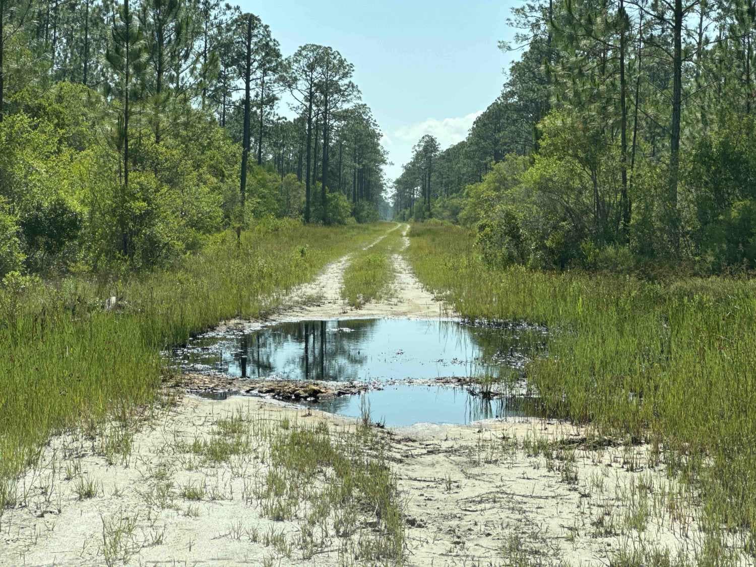 Deep Creek Loop