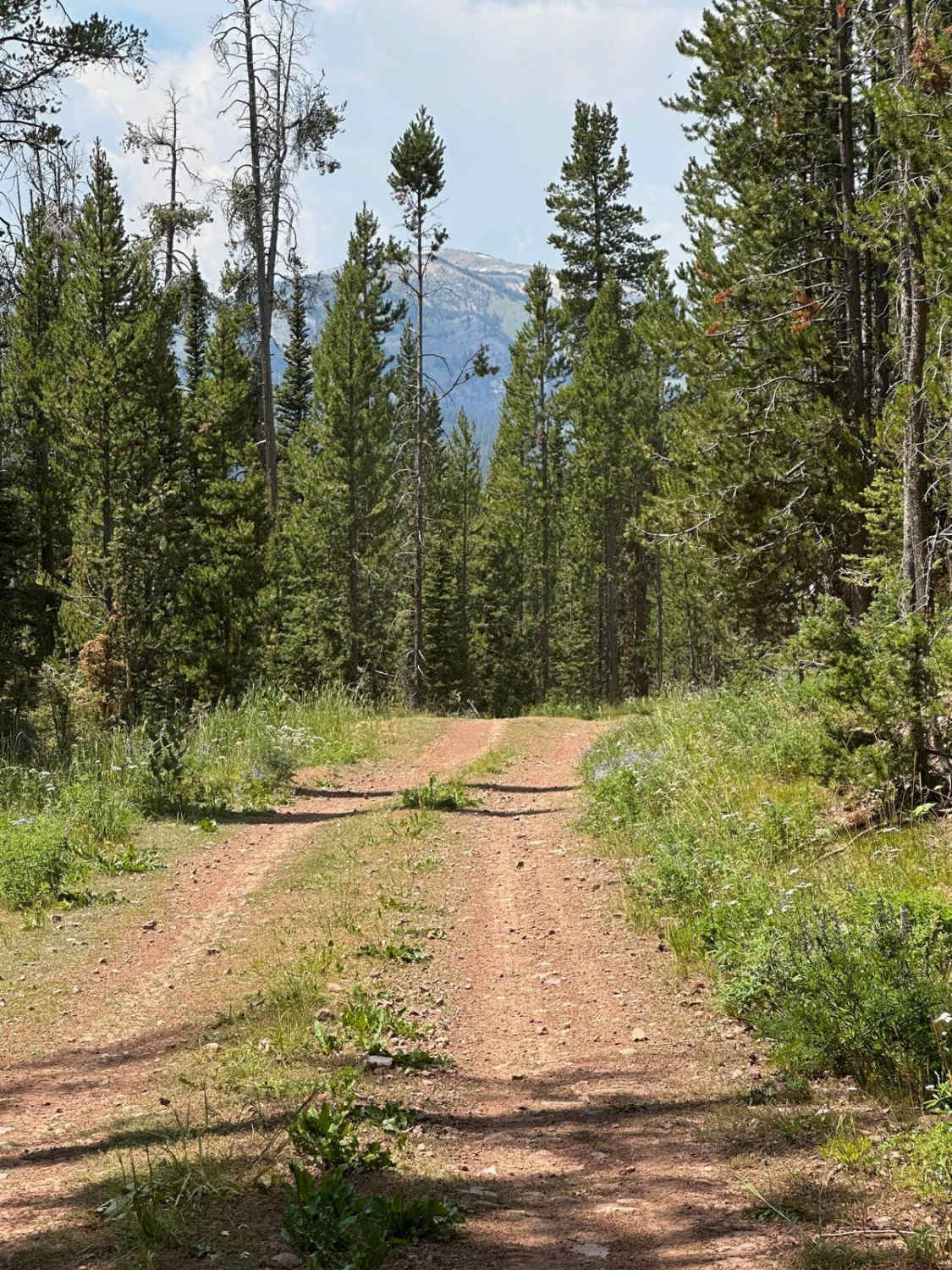 Shale Creek - Kinney Creek Loop