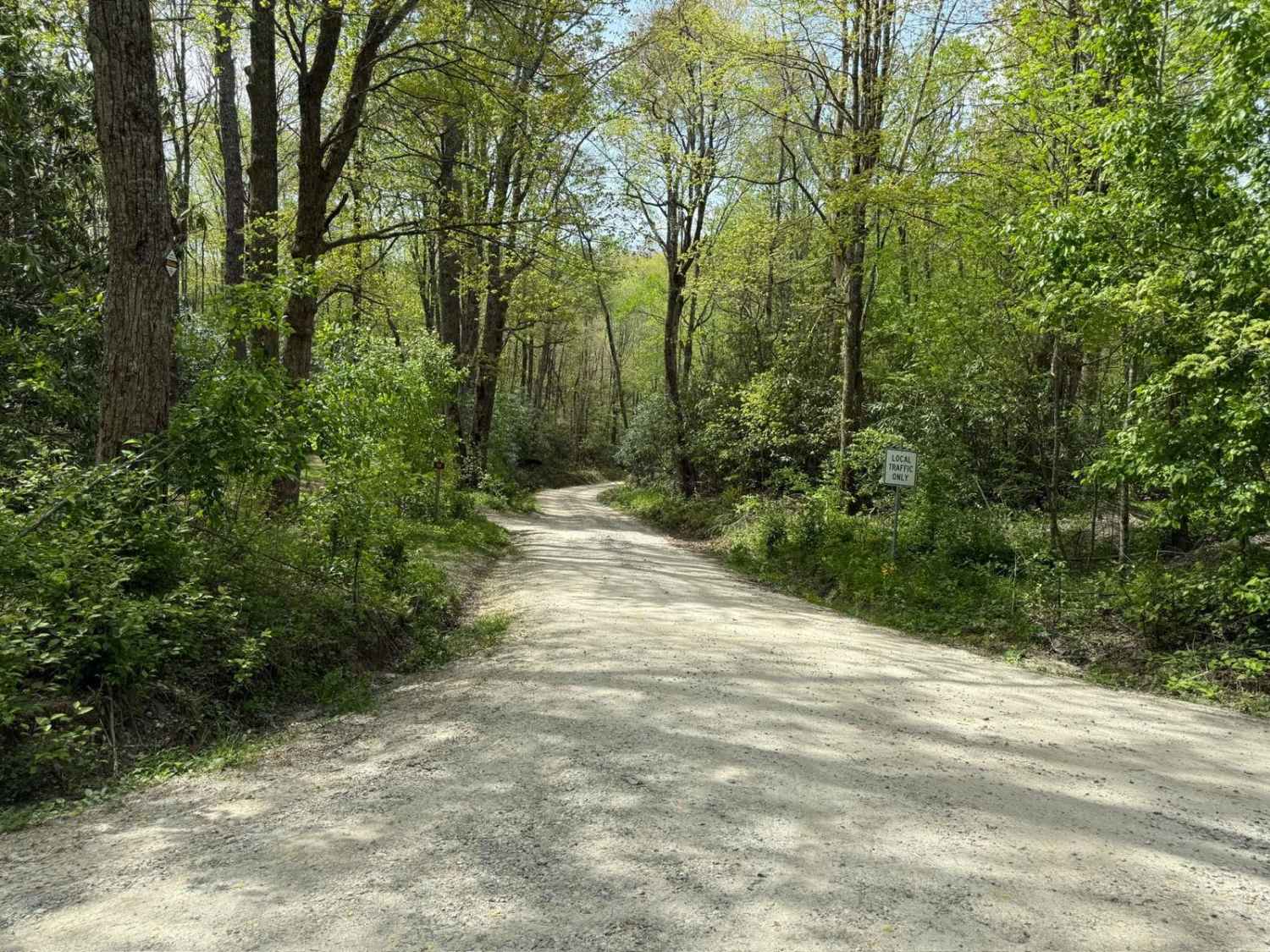 Harper Creek Road - FS 58