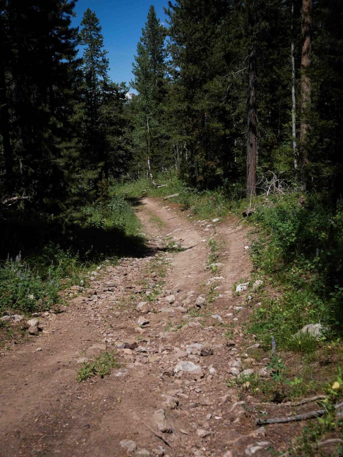 Cold Springs/Upper Dry Valley #5206