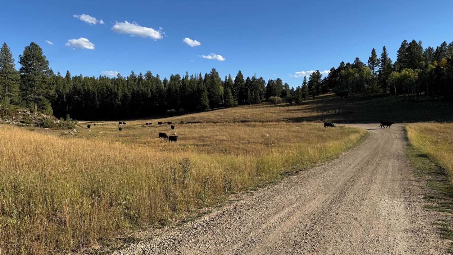 Boles Canyon