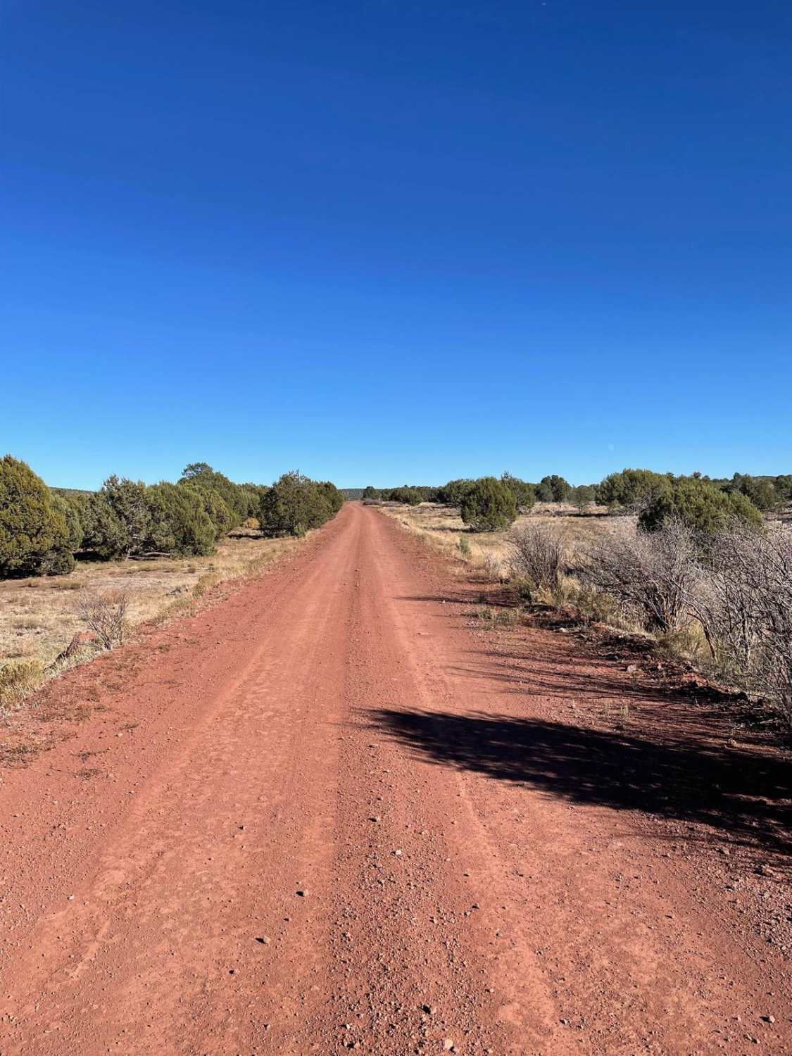 Cedar Flat- West FS 214