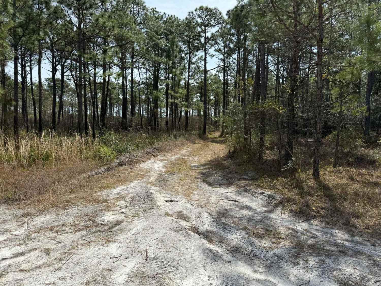 Pettiford Creek Trail 13