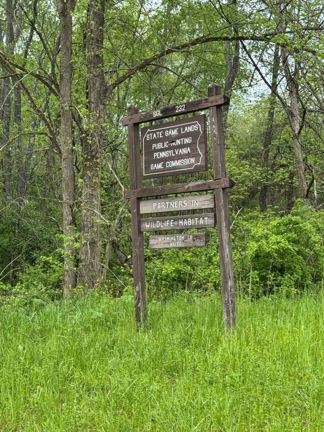 Young Road