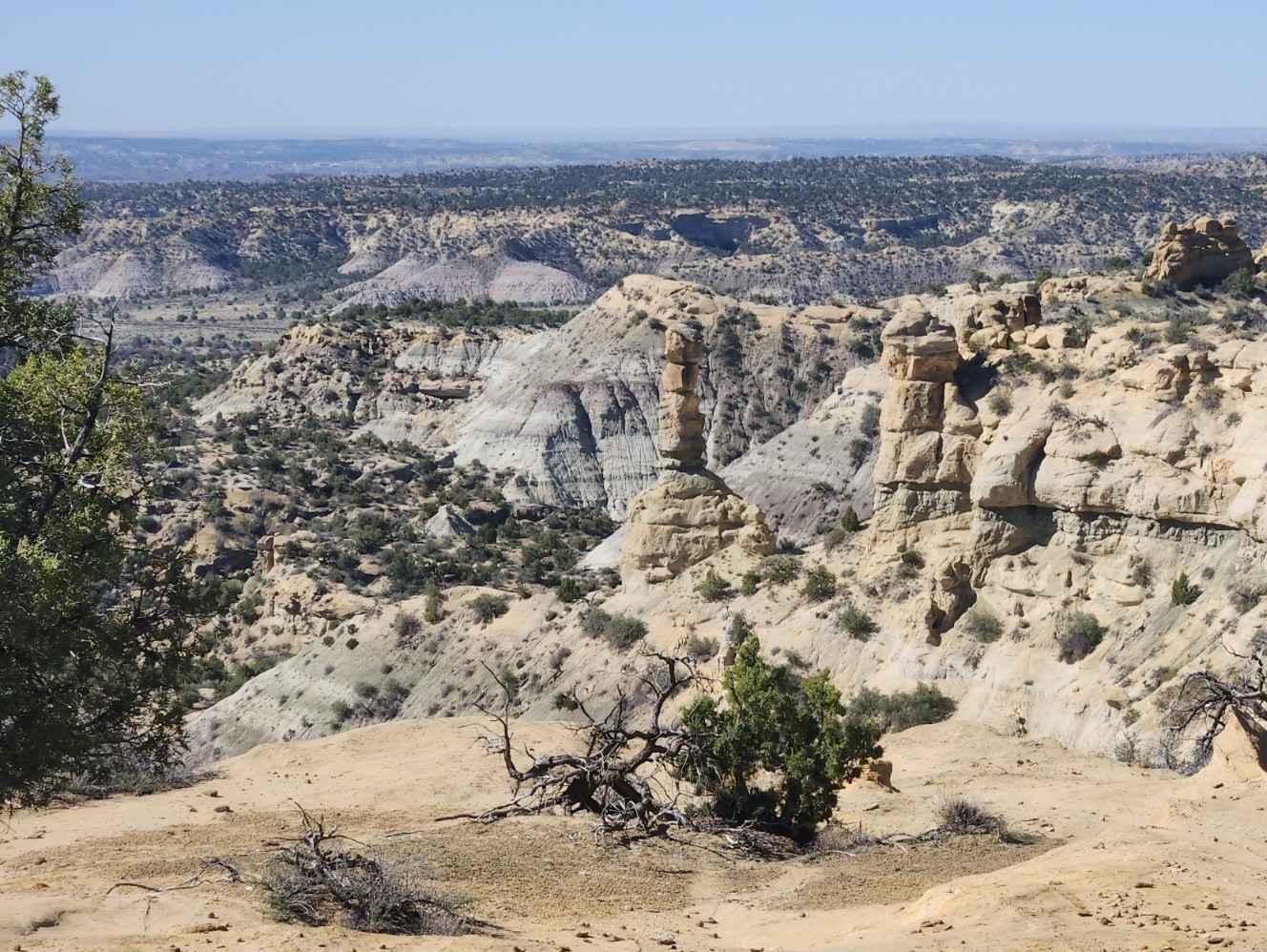 Glade North - Upper Mesa Trail