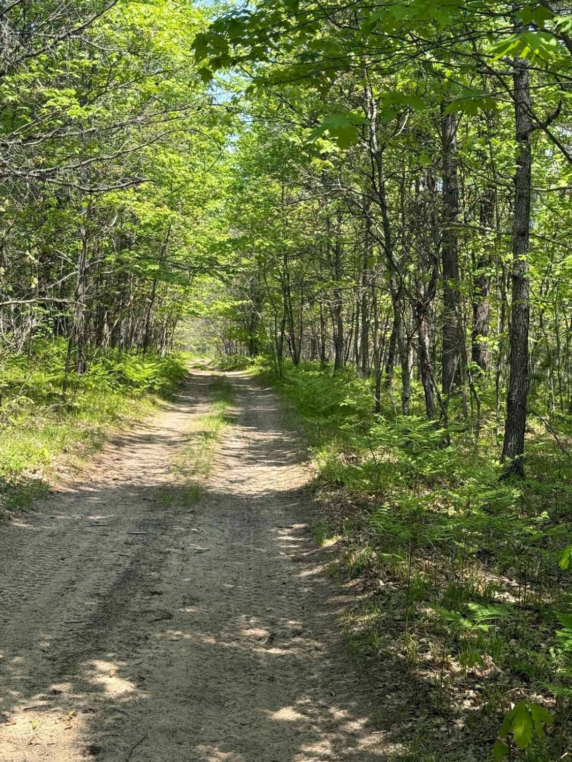 MCCCT Connector Trail