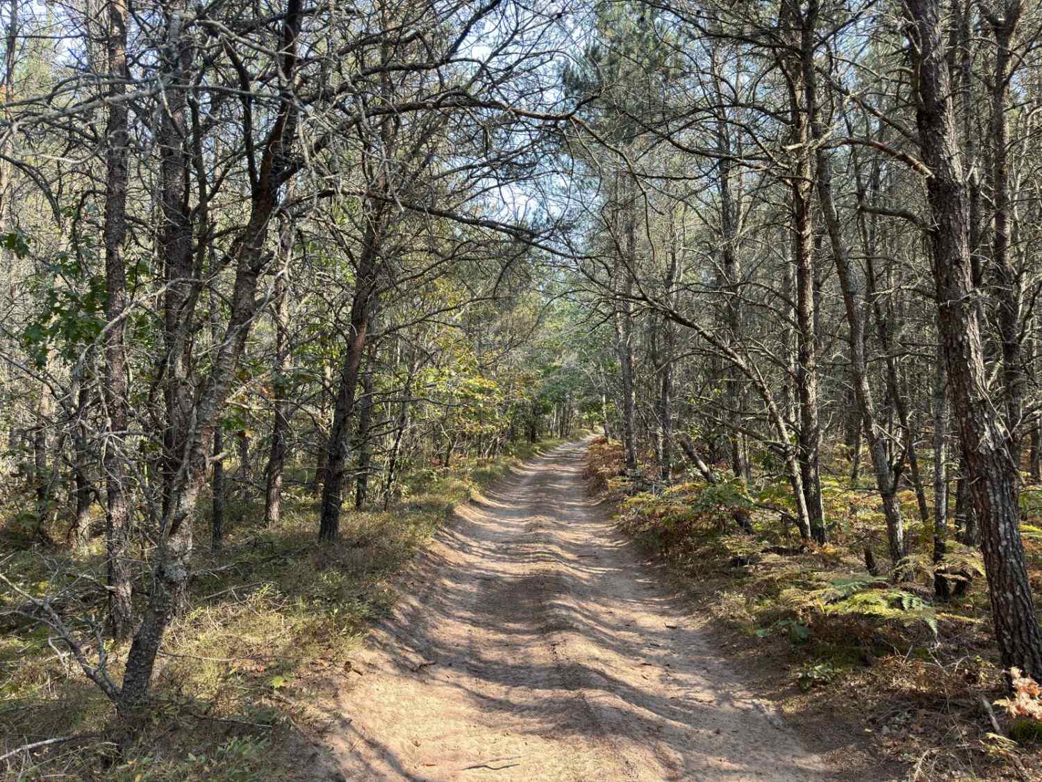 Jack's Trail