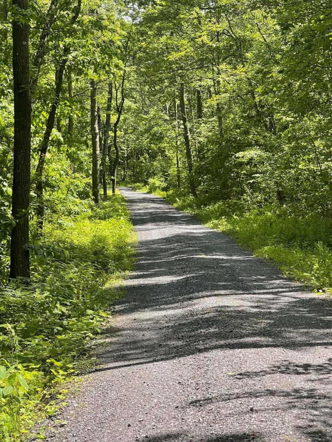 Robbins Road
