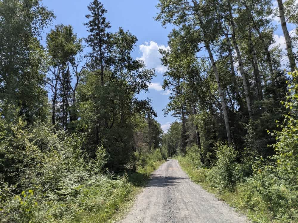 Birch Lake Access Road