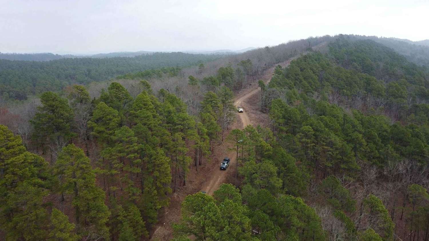 Holly Mountain Trail