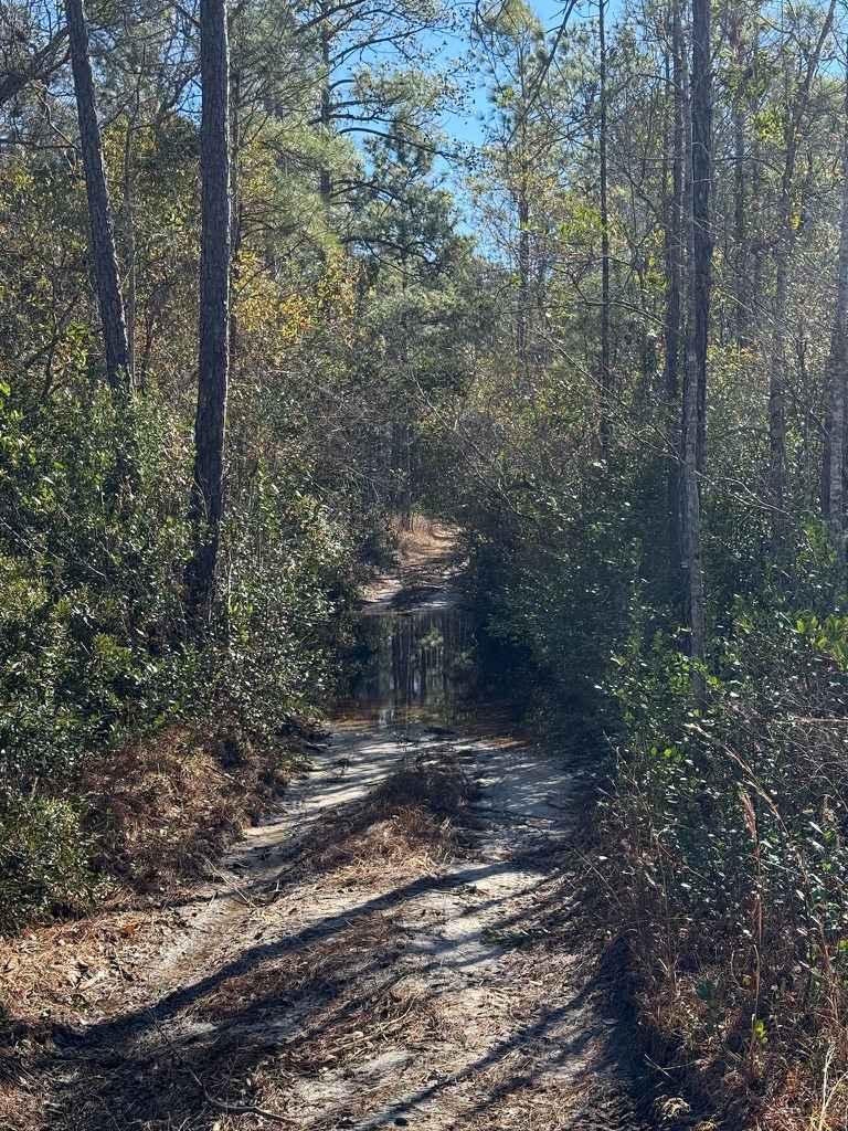 Pettiford Creek Eastern Entrances