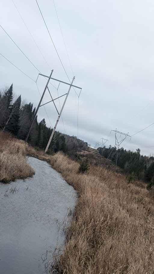 Pioneer Street Hydro Line