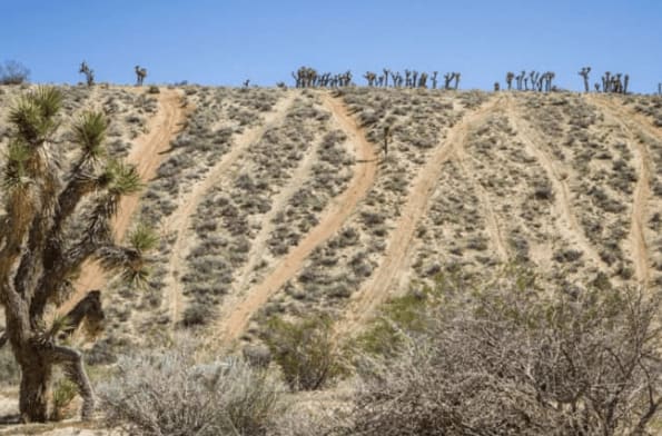 Dove Springs Canyon Road