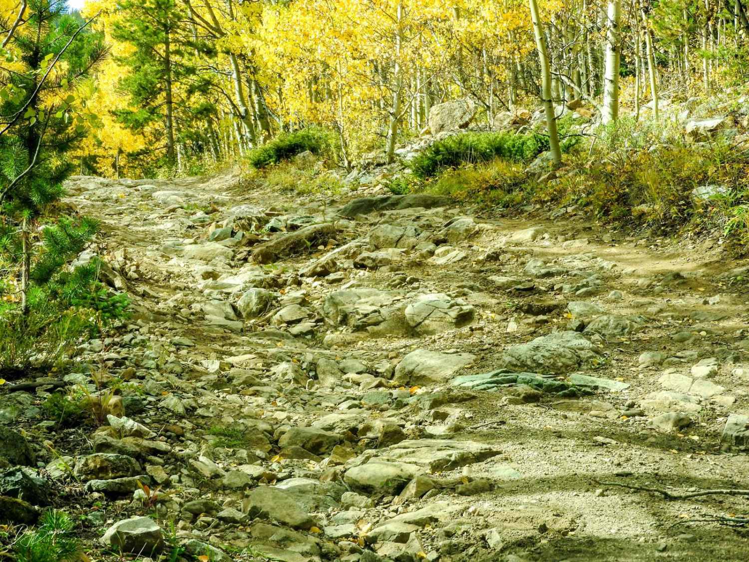 Switchback/ Privateer Road