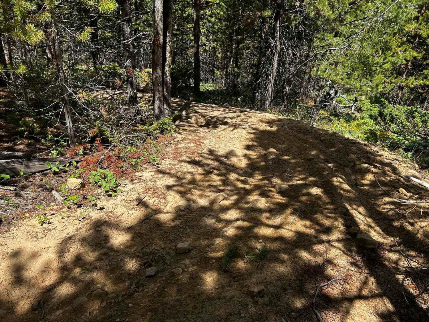 Synder Creek Loop North East