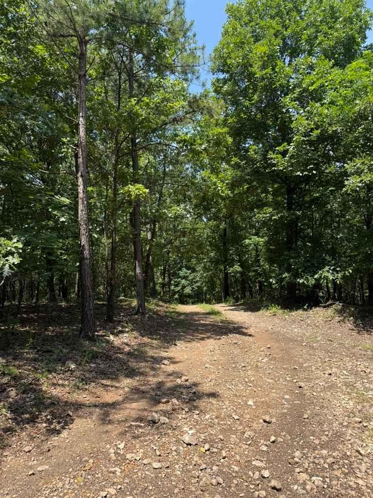 Kyler's Trail