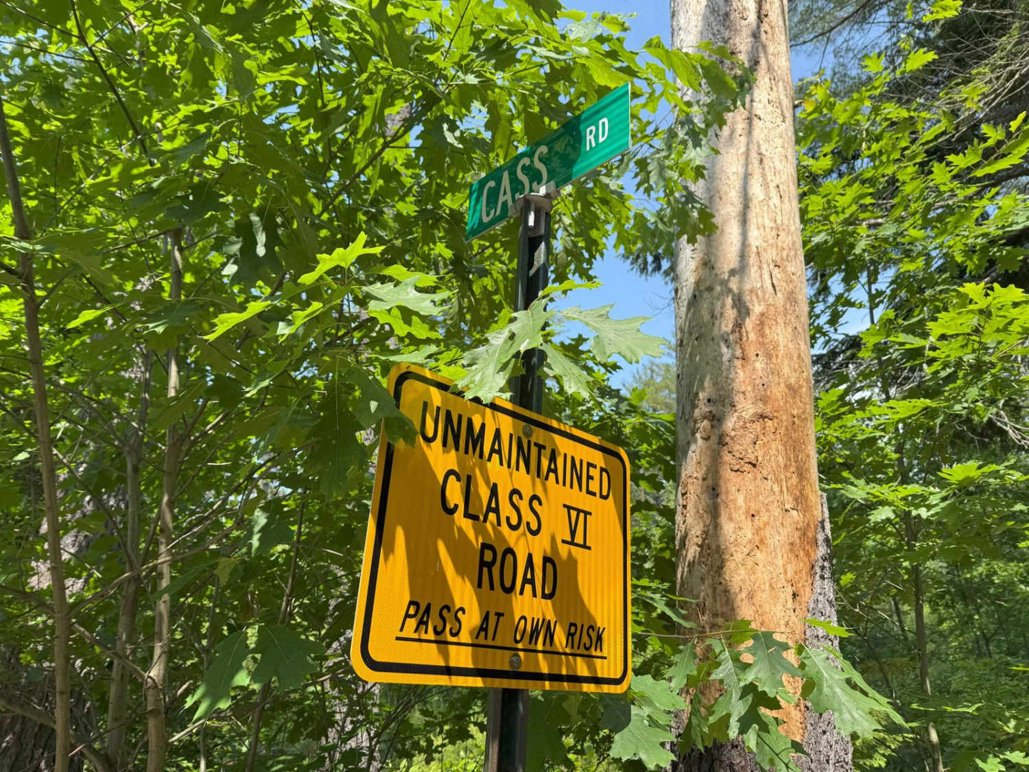 Cass Road