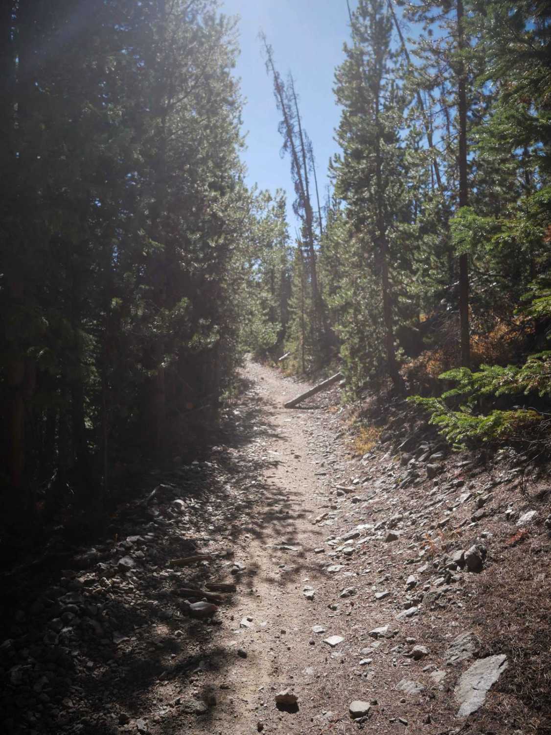 Elk Creek ATV Loop 