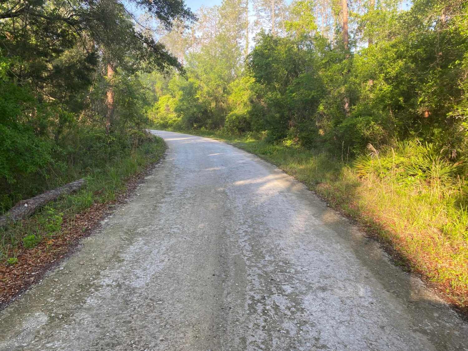McKinney Sink Road