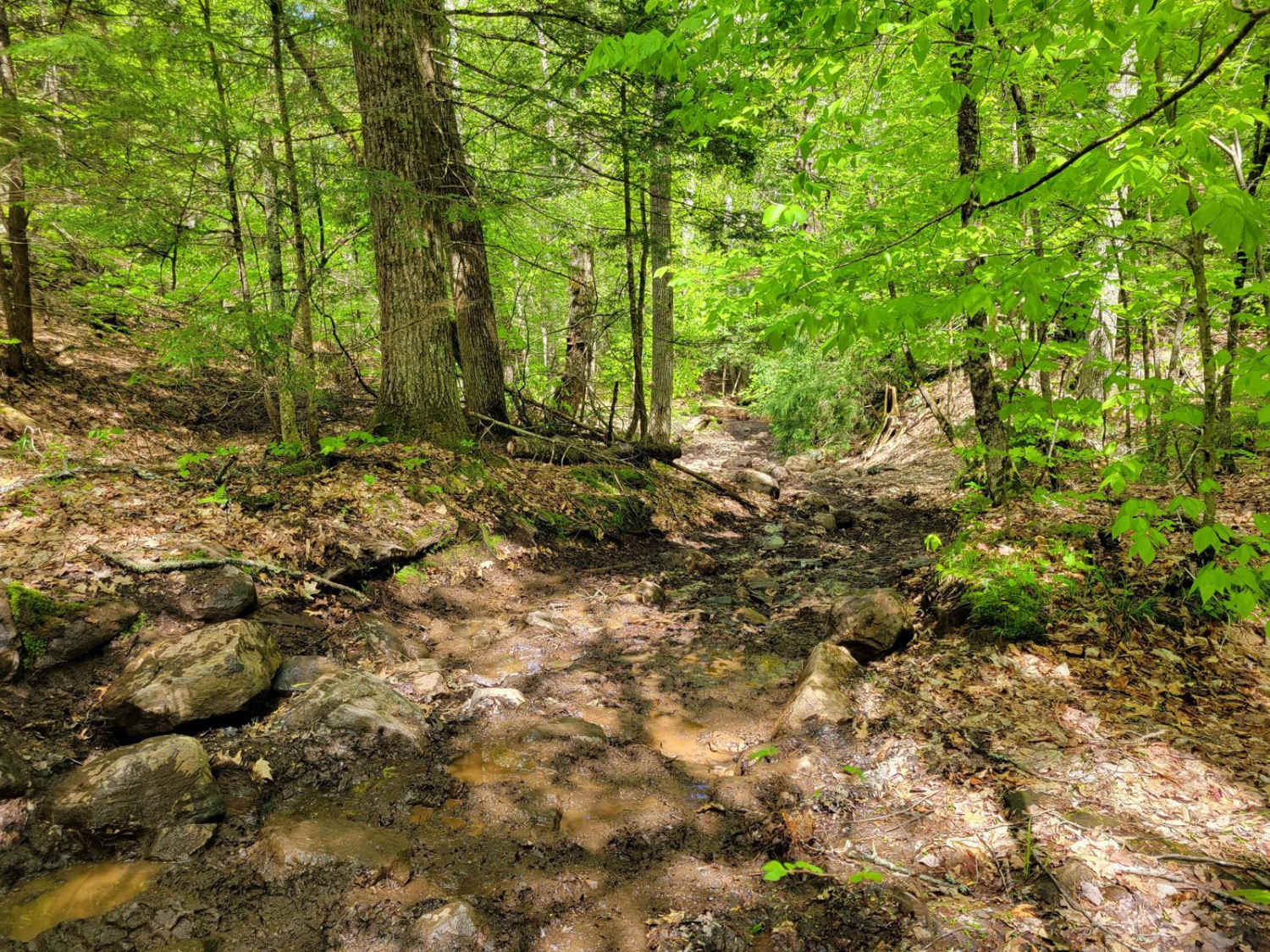 Quinn Loop Backdoor Trail