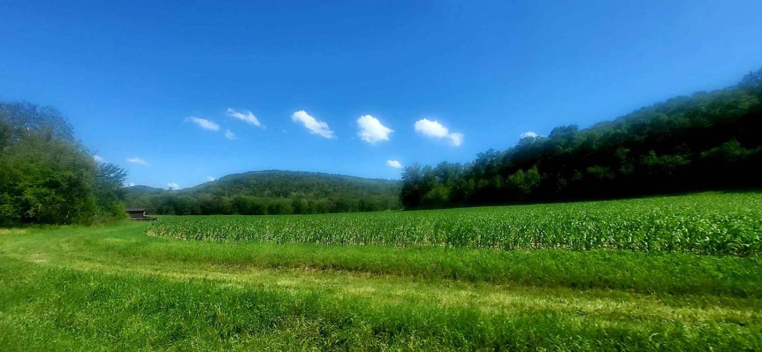 Sand Road Driftless Loop