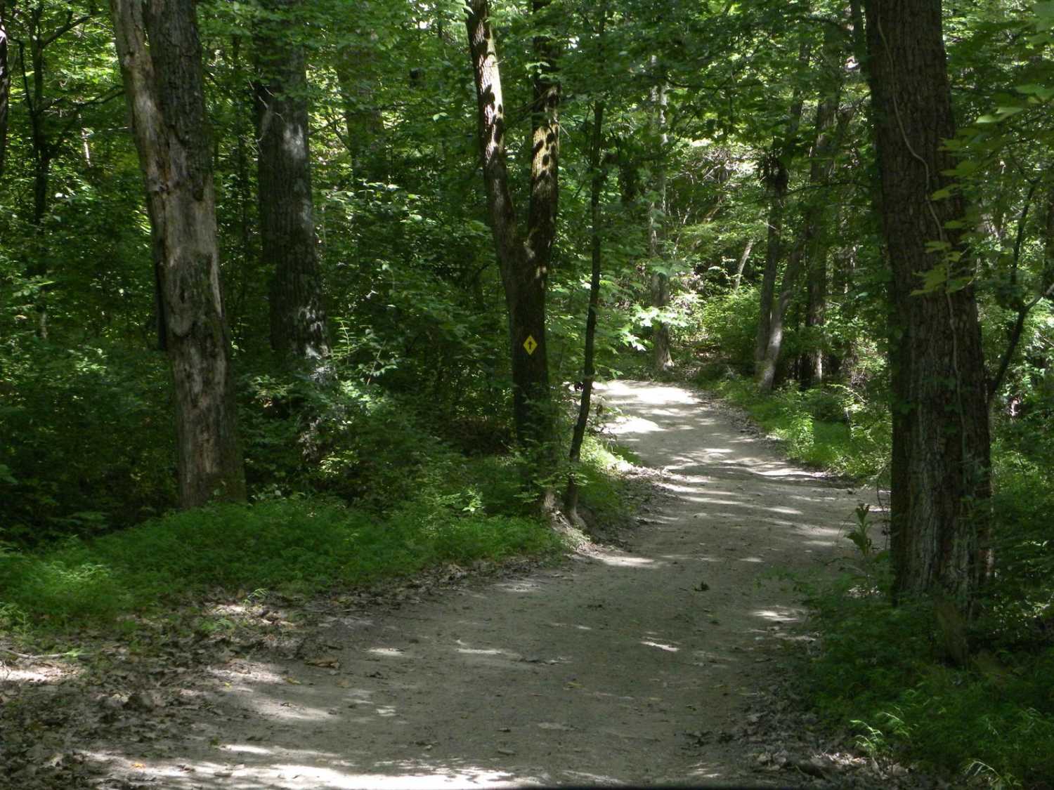 Trail 2D(easy)