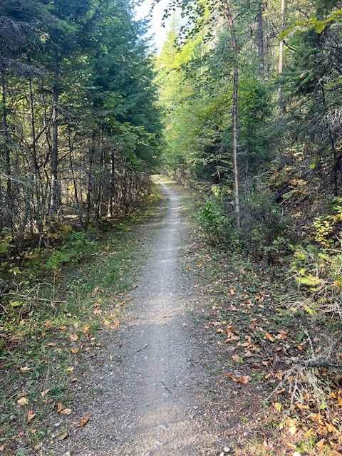 South Fork Hemler Creek