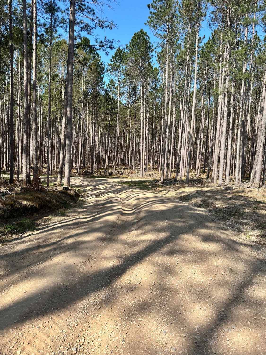 Cadillac Area ORV/OHV Scenic Ride - Part 11