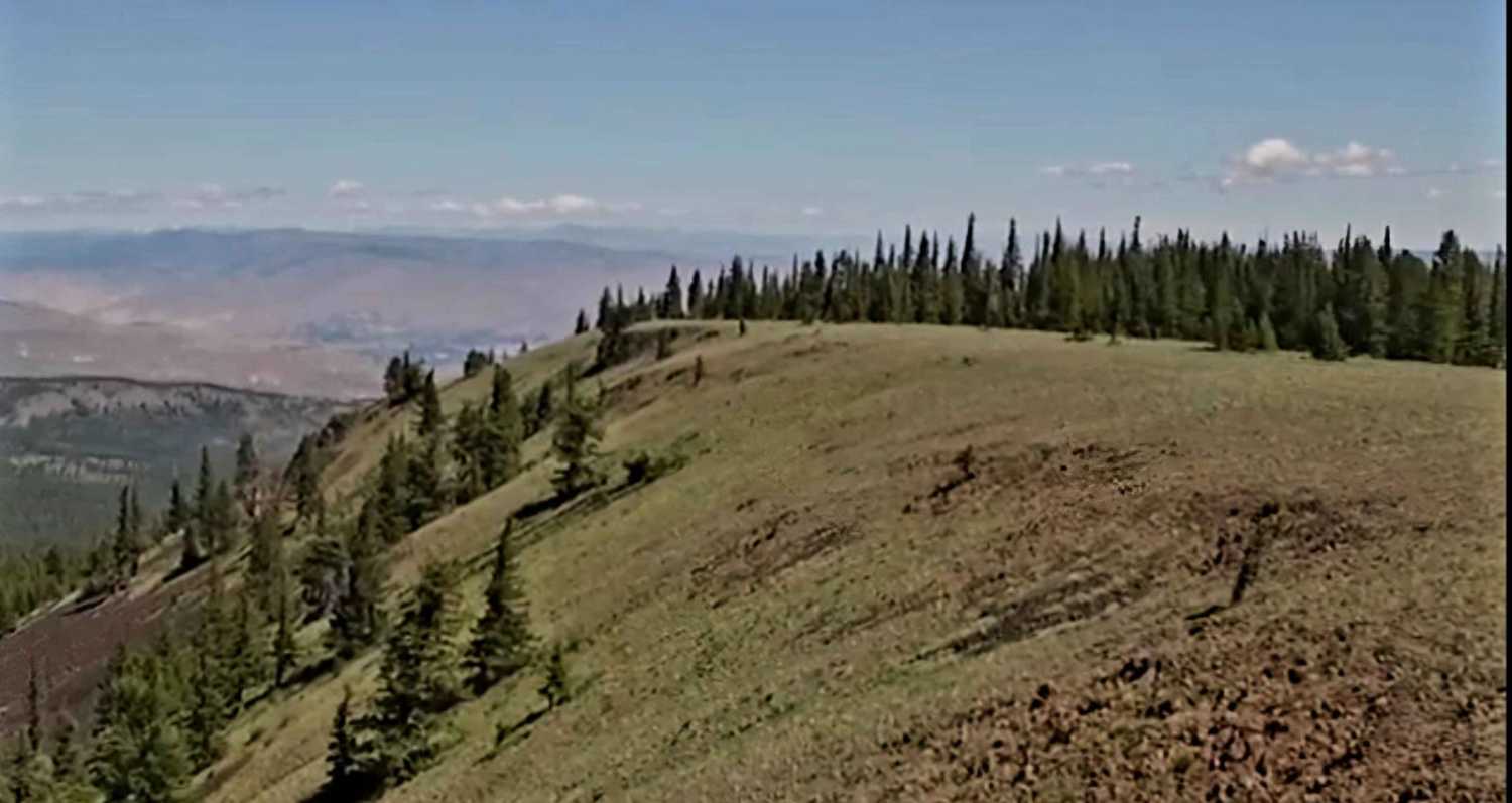 Naneum Ridge
