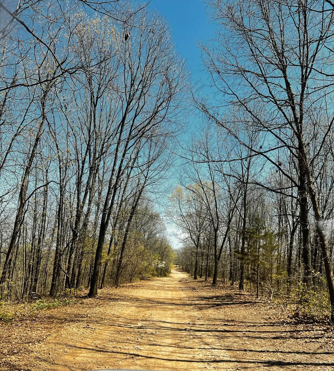 Backwoods Road