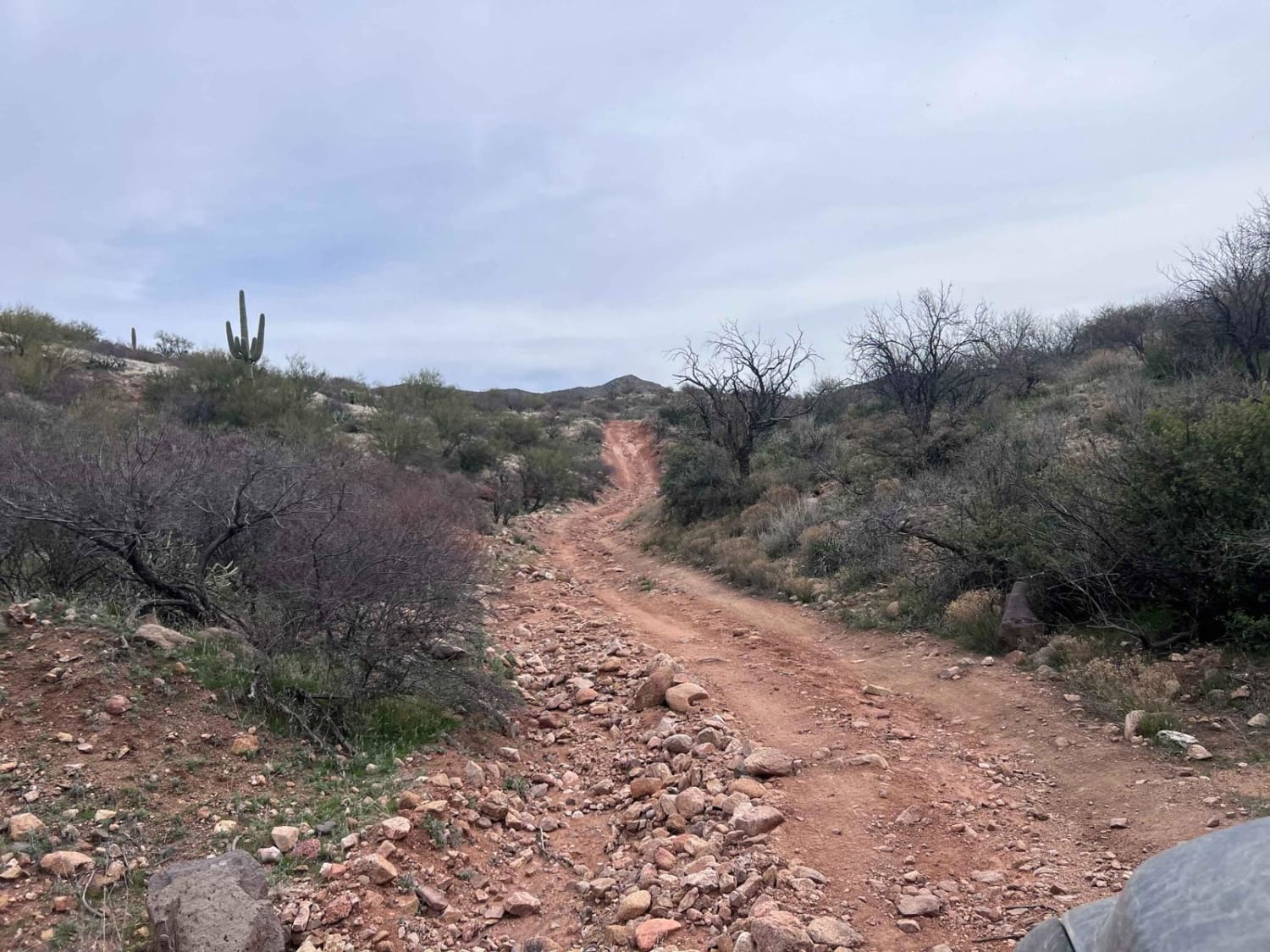 Buckskin Canyon