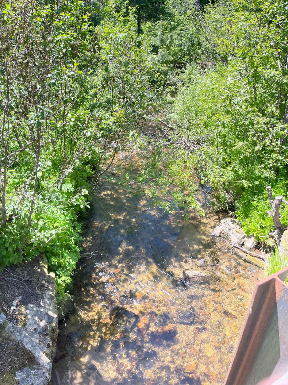 East Fork Rd - Perkins-Morris Grove