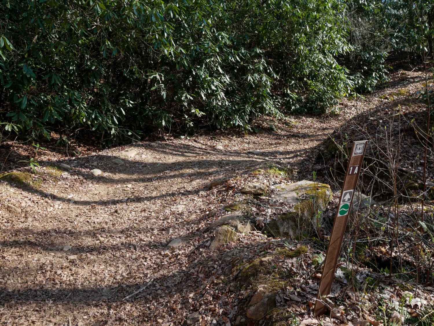 Upper Wayehutta Creek Trail 1A