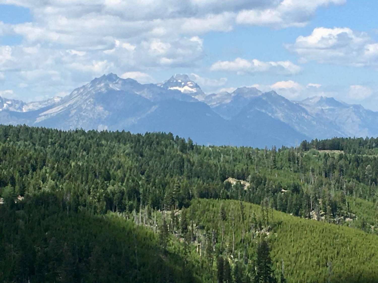 Cold Spring Hill ATV Trail