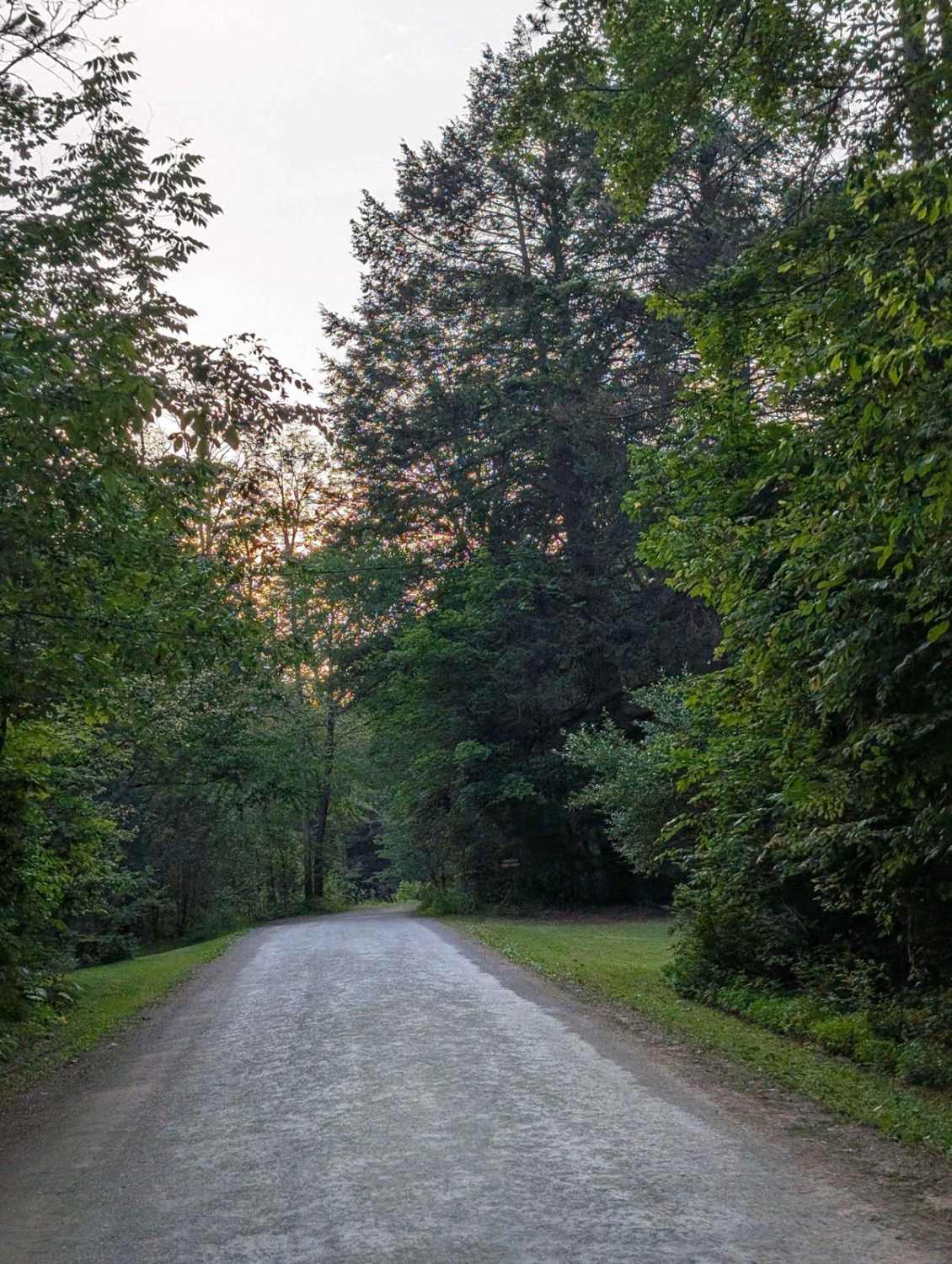 Hoagland Branch Road