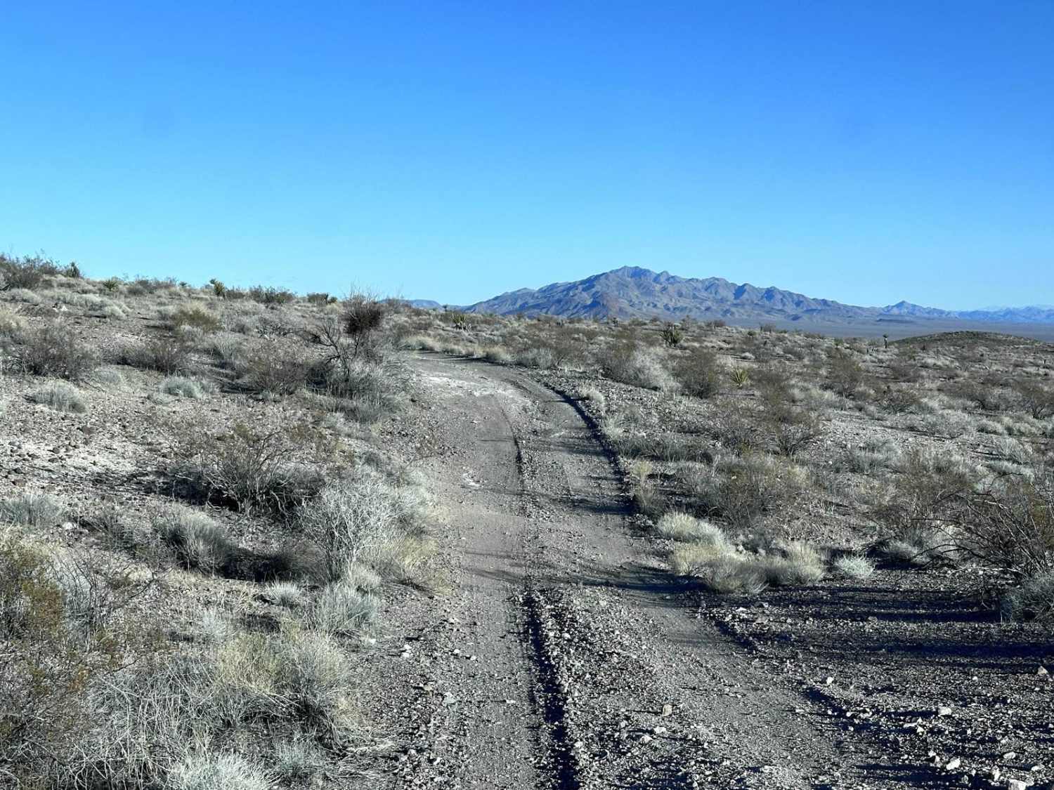 Jumbo Wash Road