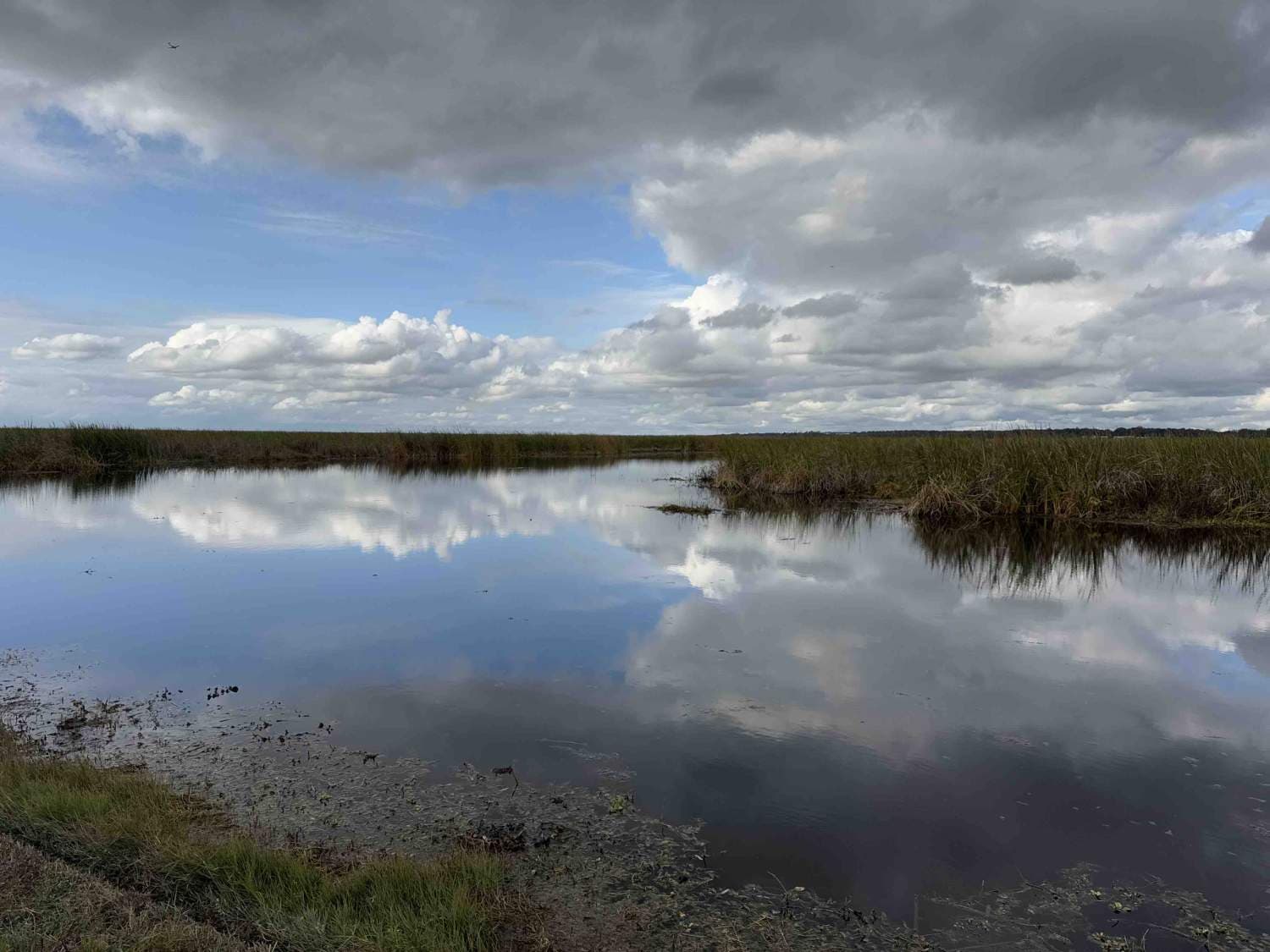 Lake Apopka Wildlife Drive
