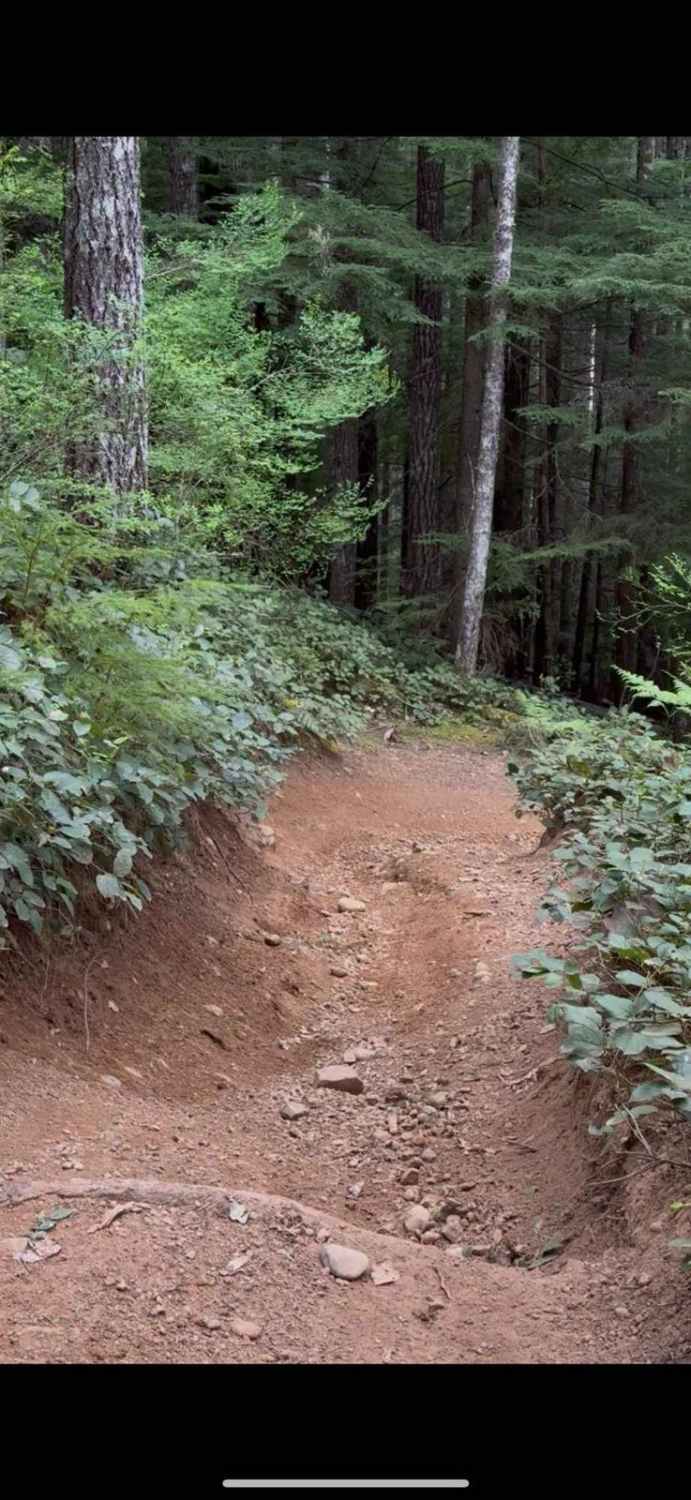 Rock Candy Trail
