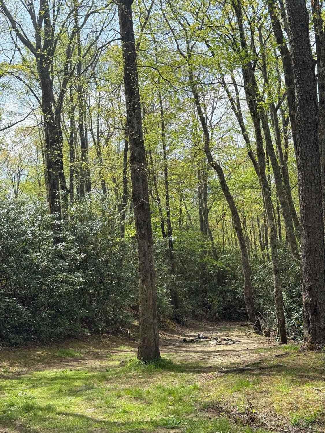 Harper Creek Road - FS 58