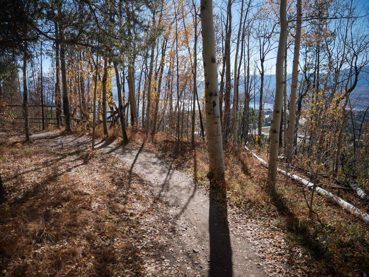 Tenderfoot Mountain 