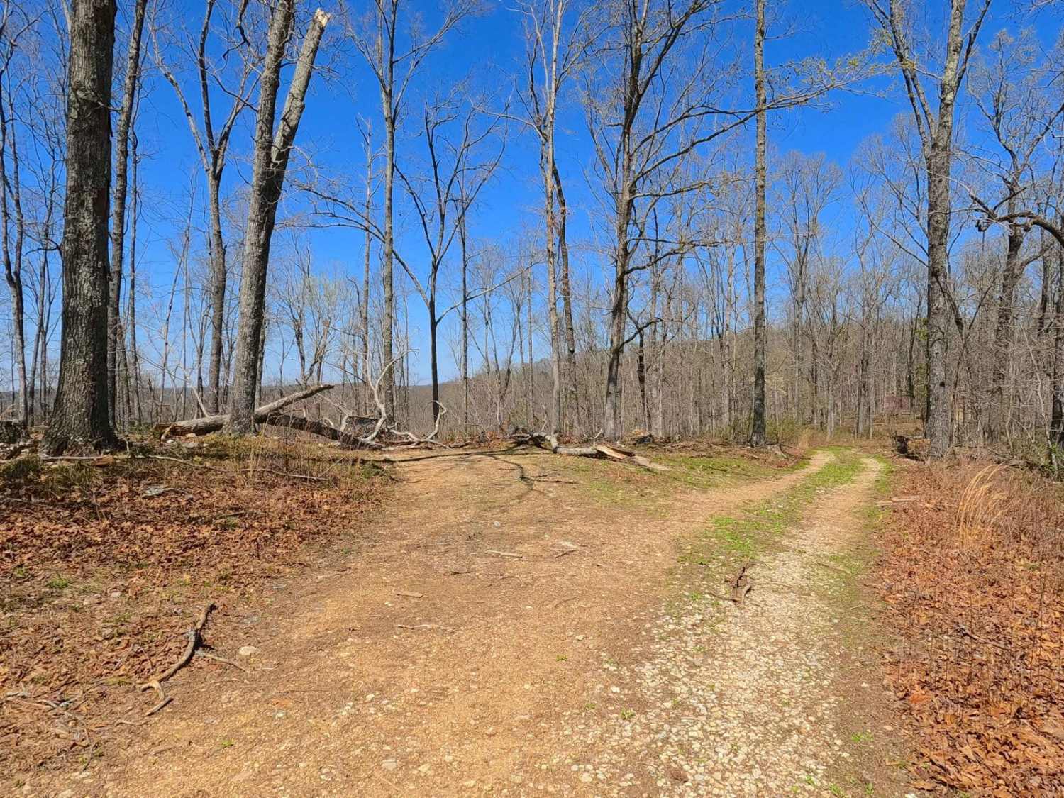 Collins Cemetery Road