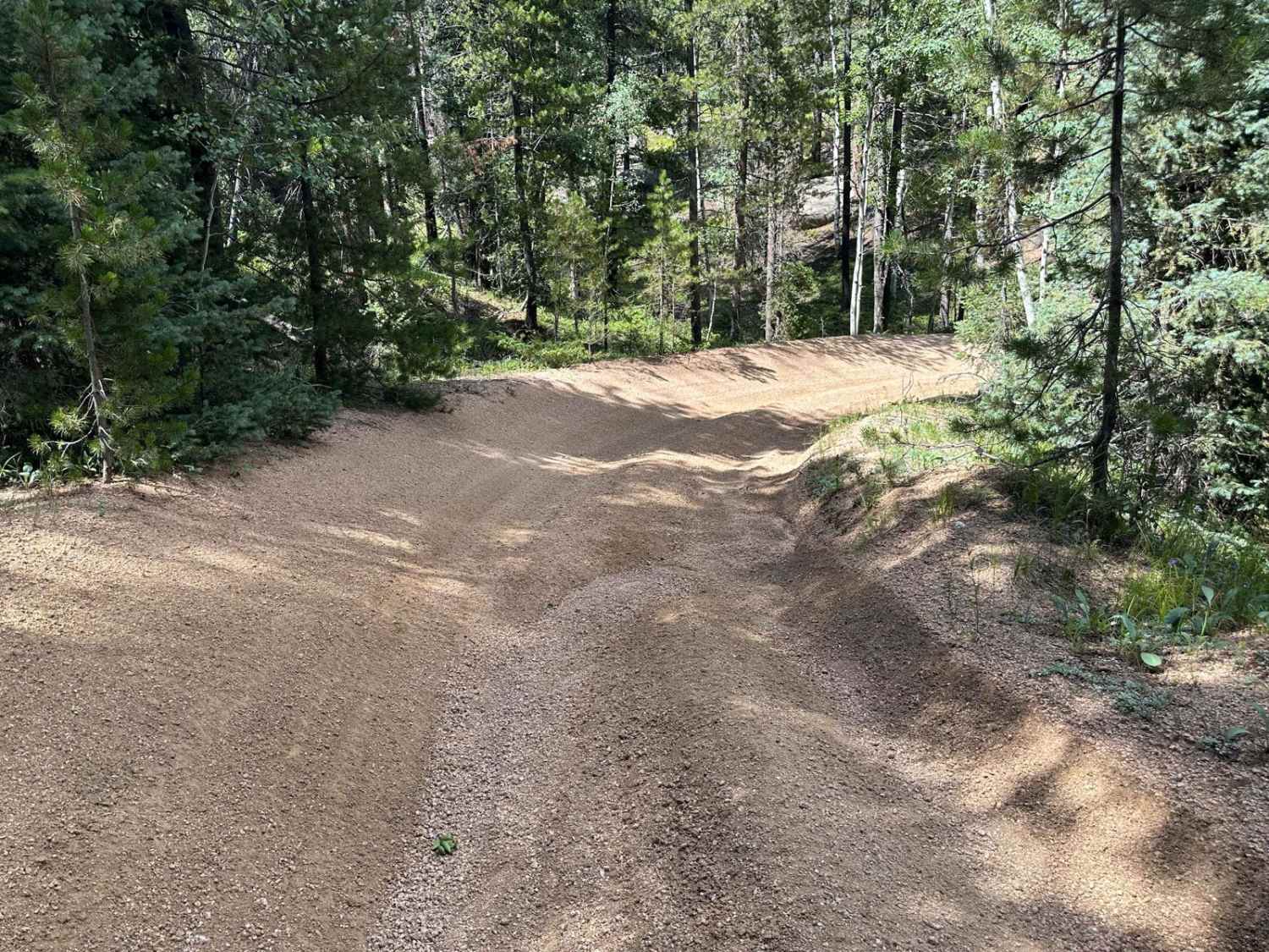 Gove Creek Road