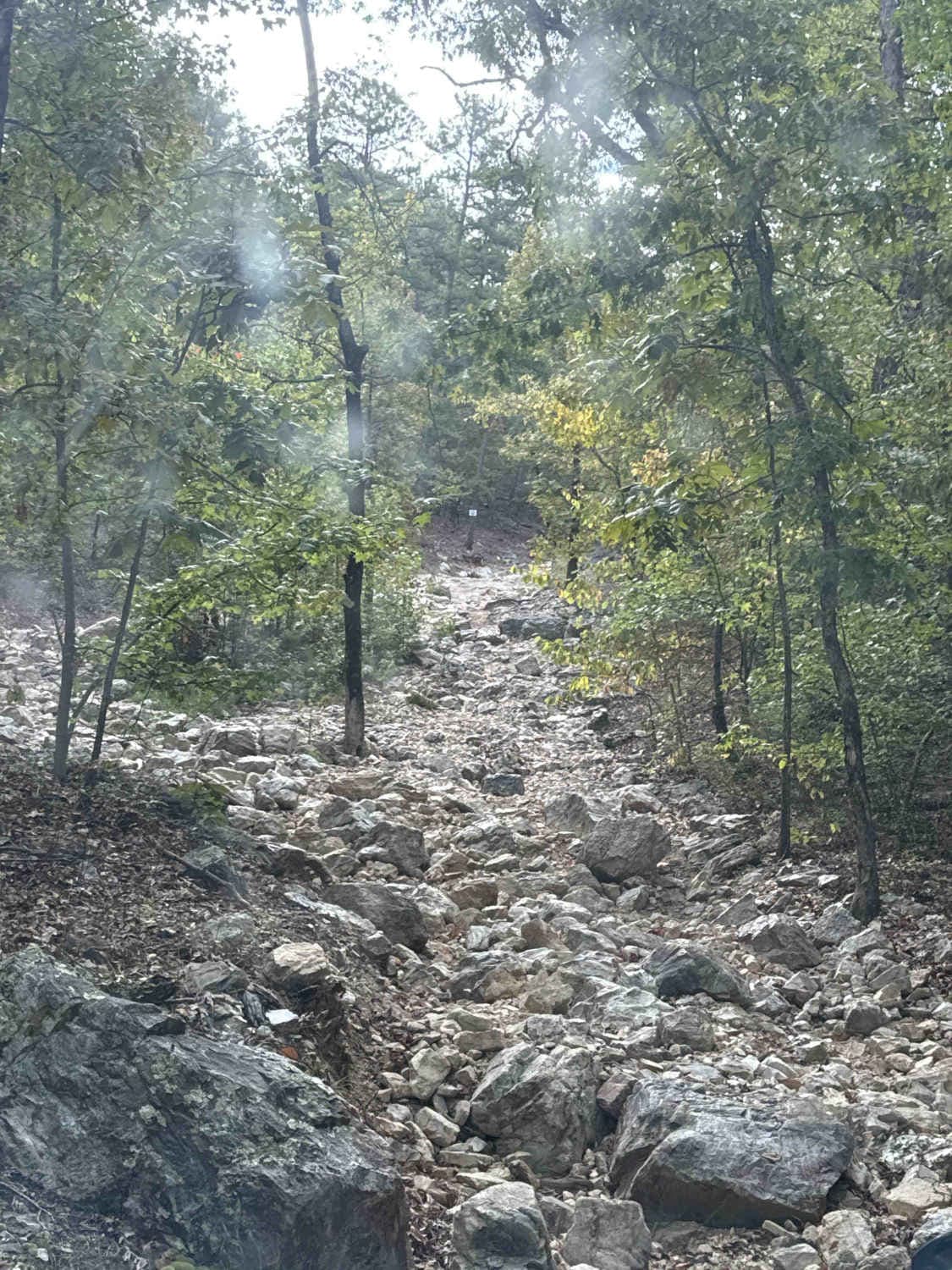 Ravine