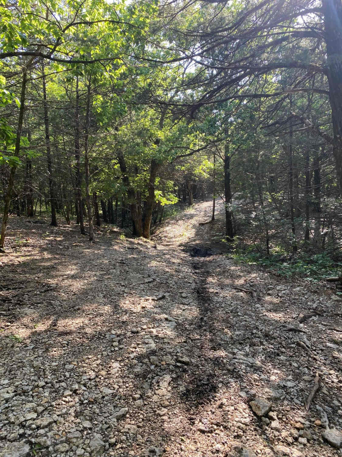 Starkey's Loop