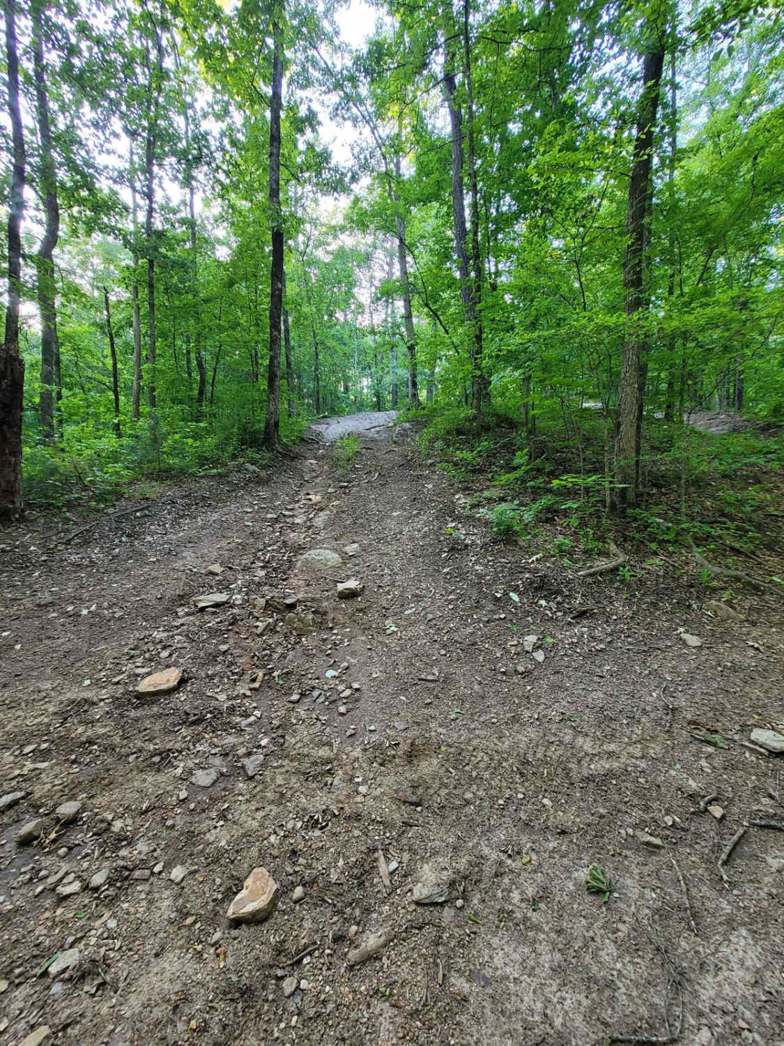 Crow's Nest Bypass