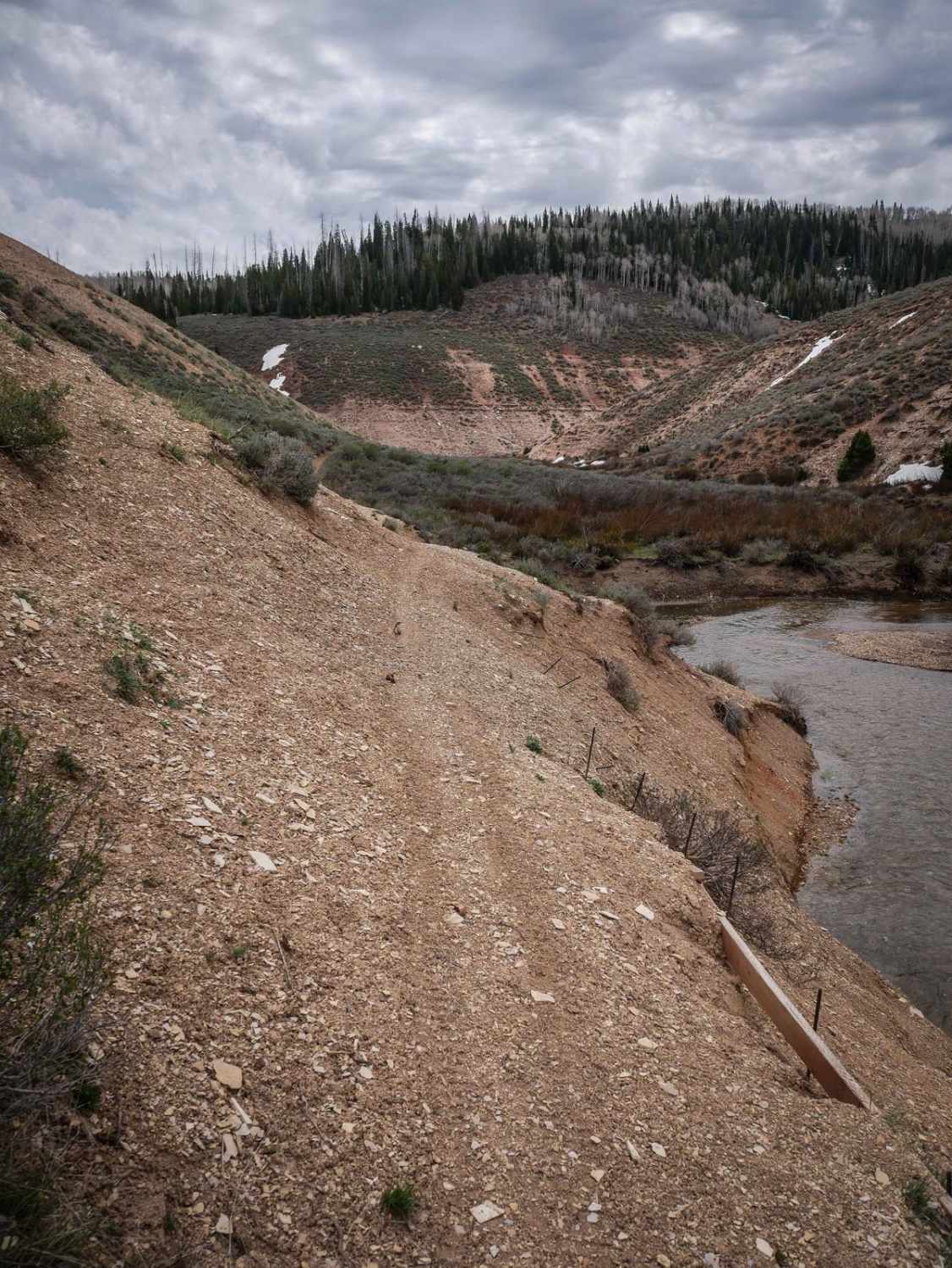 Willow Creek #025