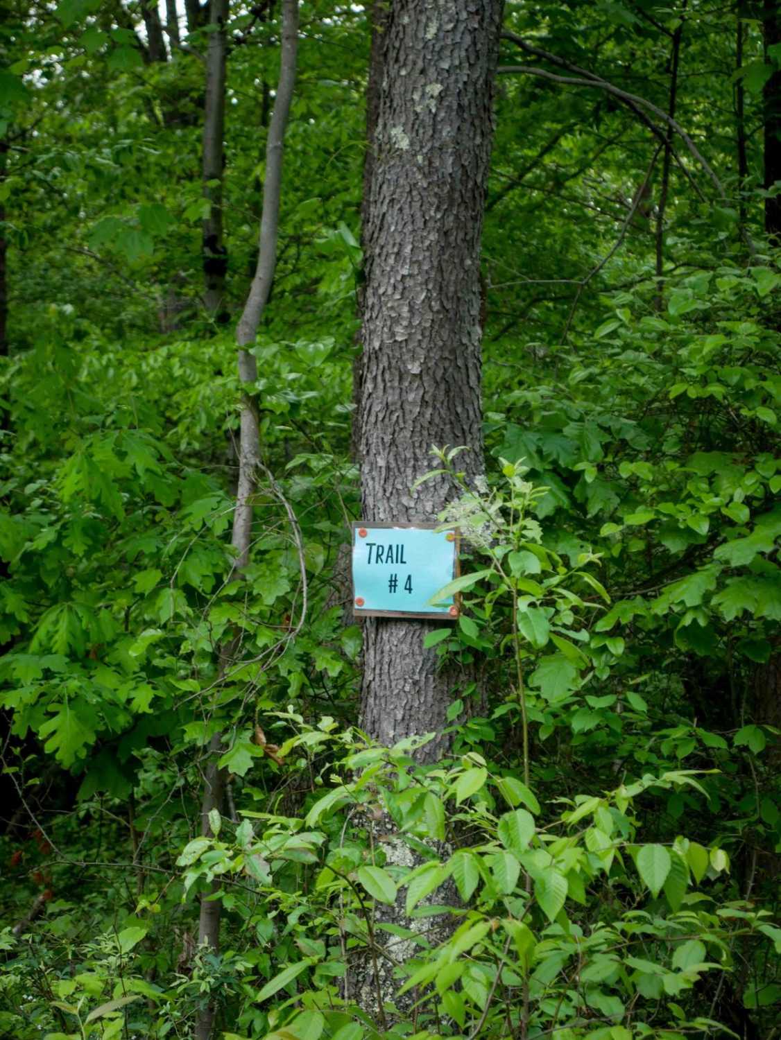 Trail 4