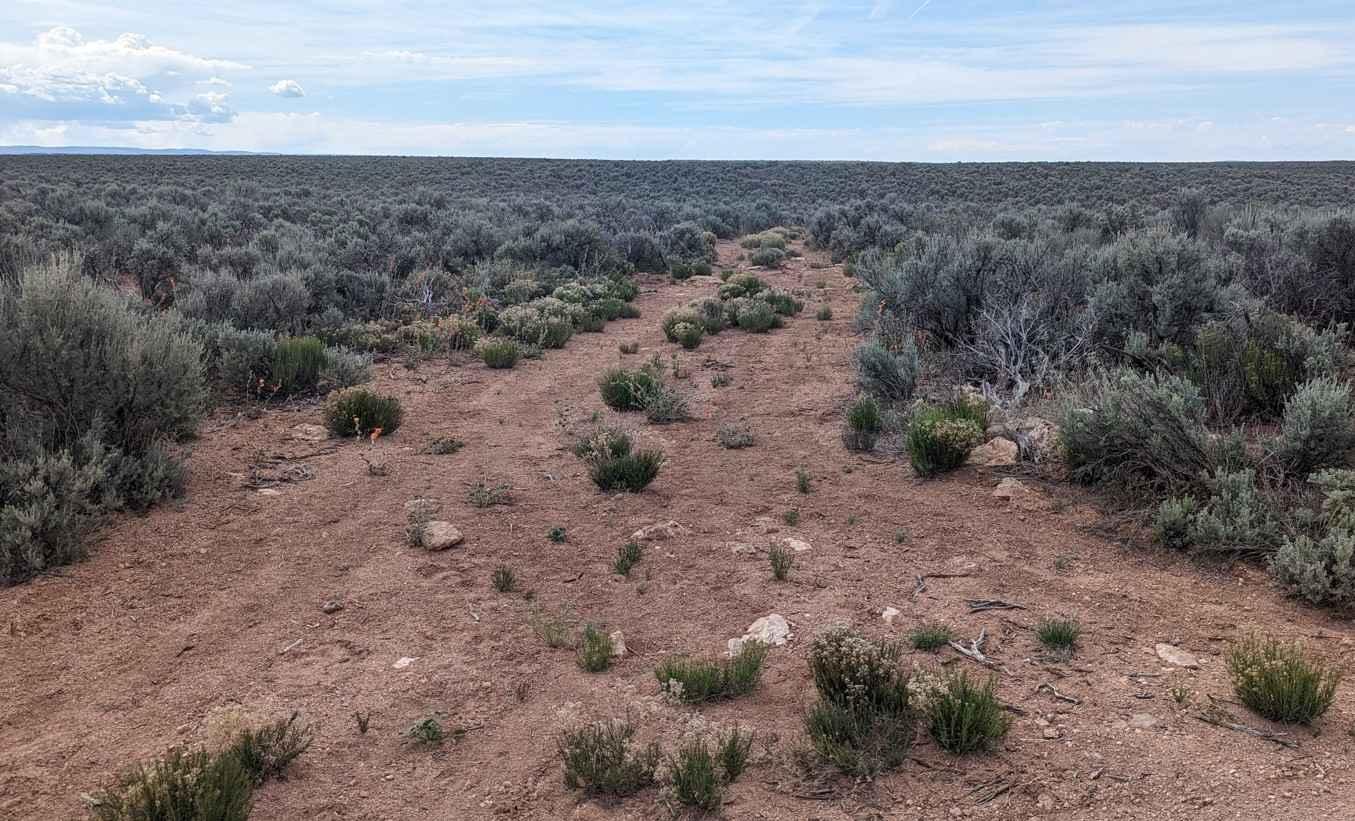 Snake Gulch Rim - BLM191