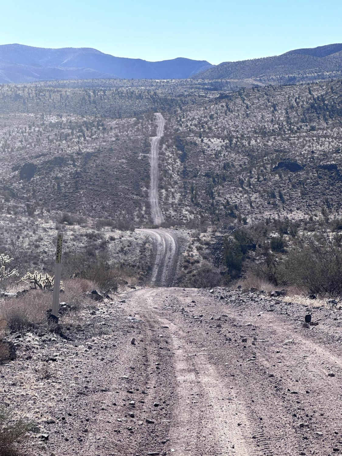 Kingman Rollercoaster